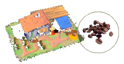 Coffee Plantation